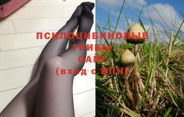 дживик Новодвинск