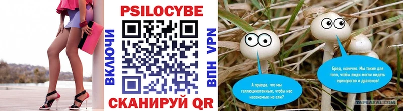 Галлюциногенные грибы Psilocybine cubensis  Купить закладки  Ачинск 
